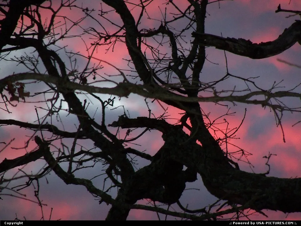 Wonderful color in the morning sky