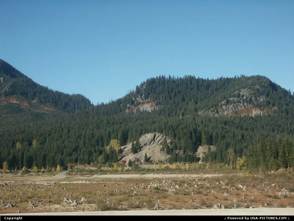Beautiful Montana. Better like the wilderness!