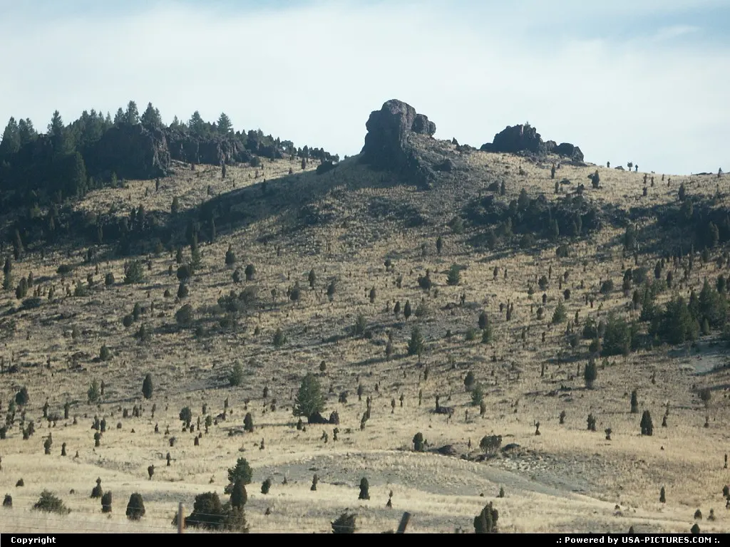 Wilderness, en route to Yellowstone