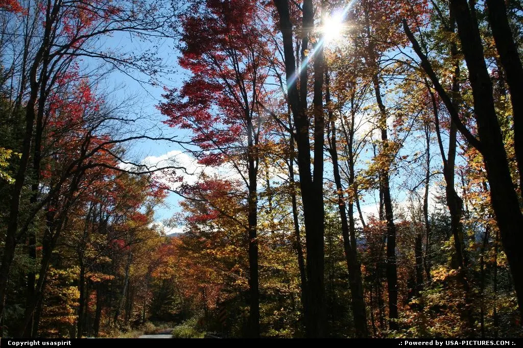 Fall colors, New Hampsire
