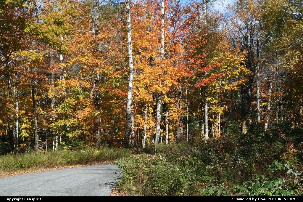 New Hampsire fall colors