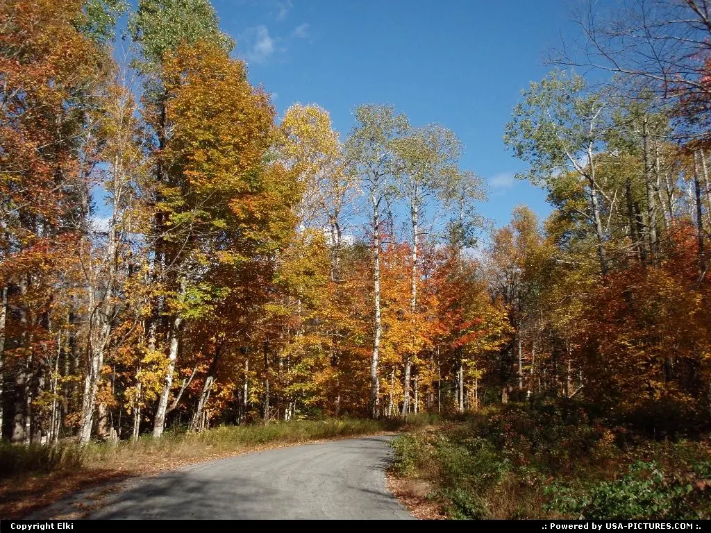 Fall colors in New Hampshire