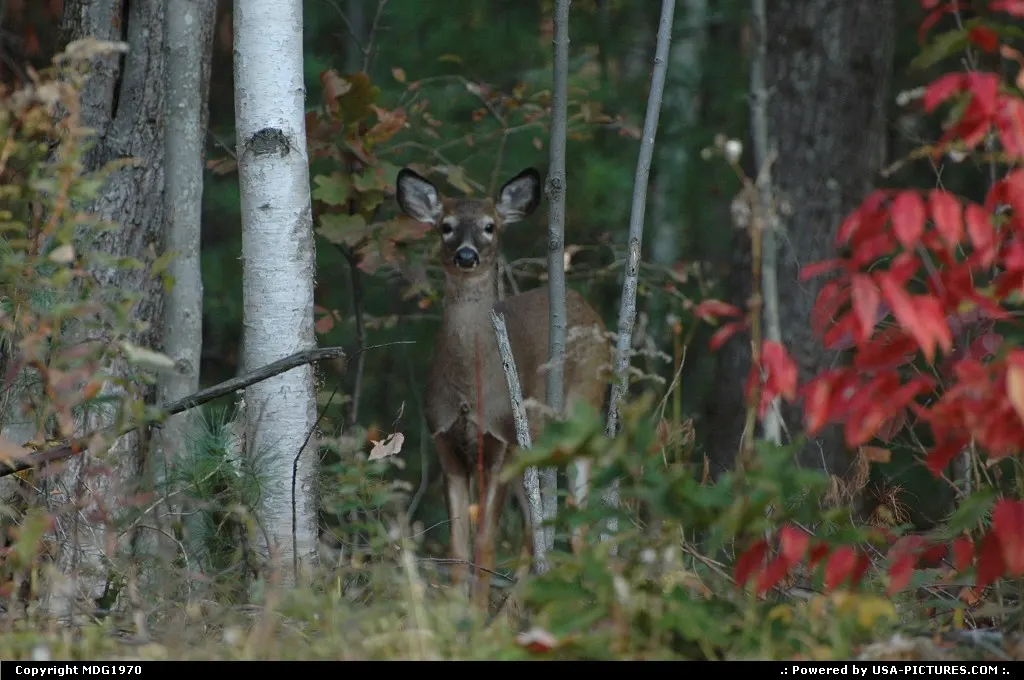 Hooksett New-Hampshire