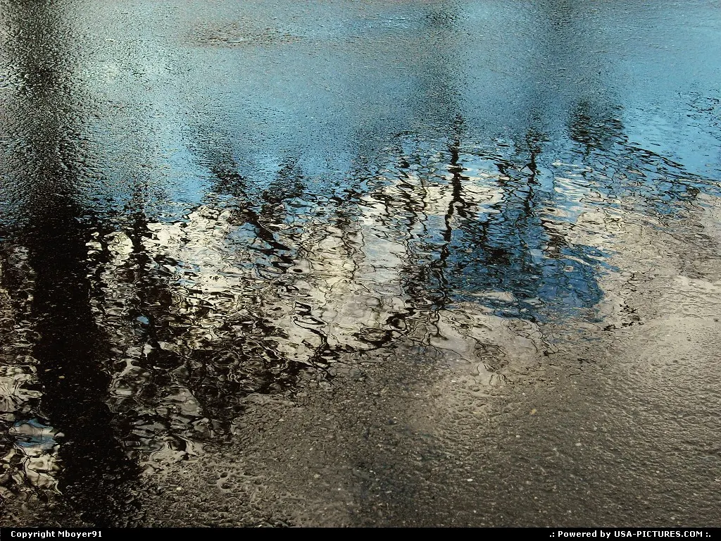 Water Puddle on Black top