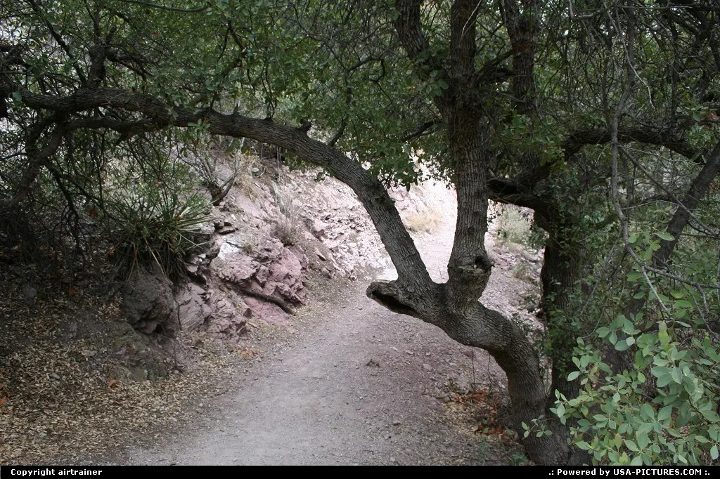 The Catwalk, near Glenwood