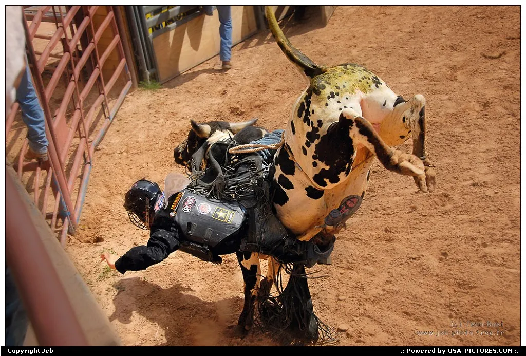 Rodeo