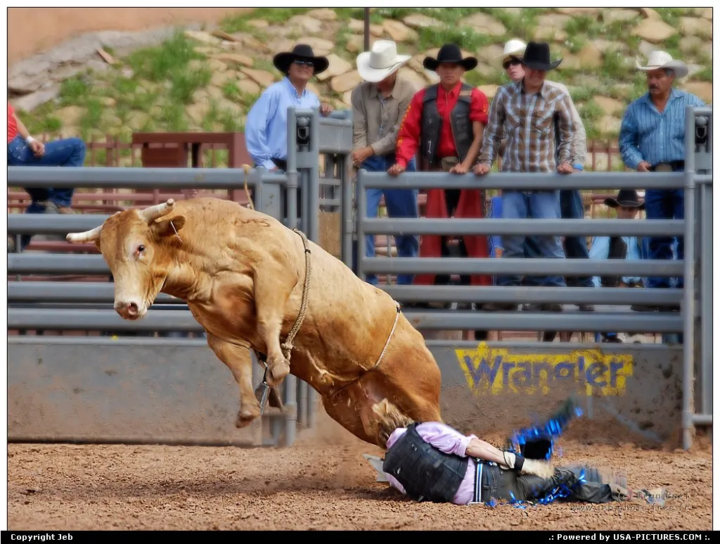 Rodeo
