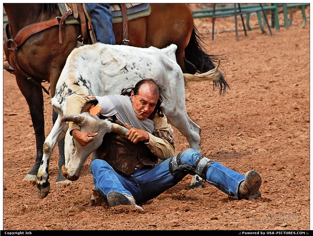 Rodeo
