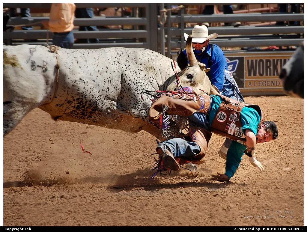 Rodeo