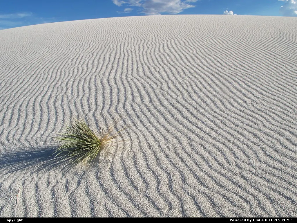 White Sands