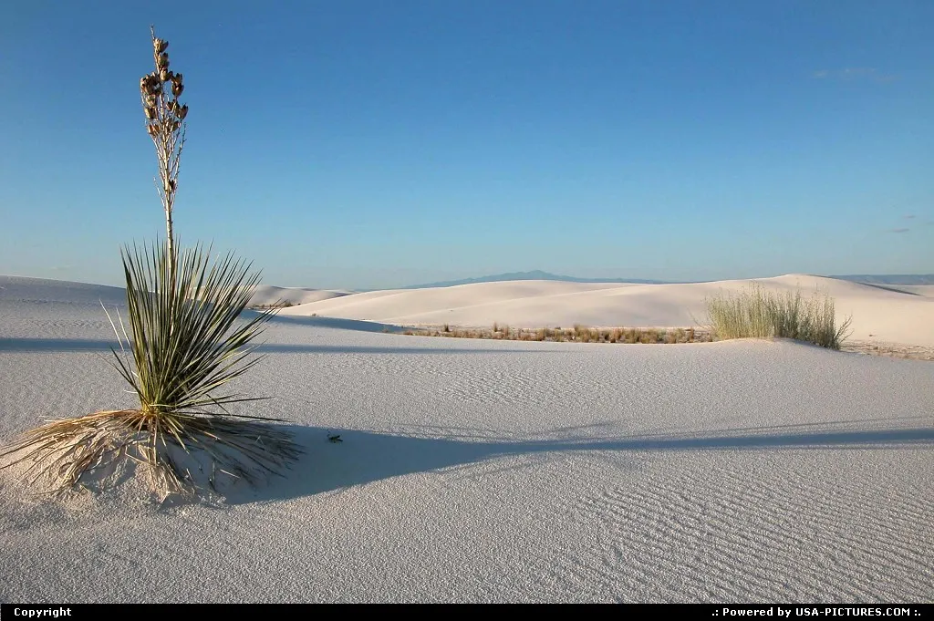 White Sands