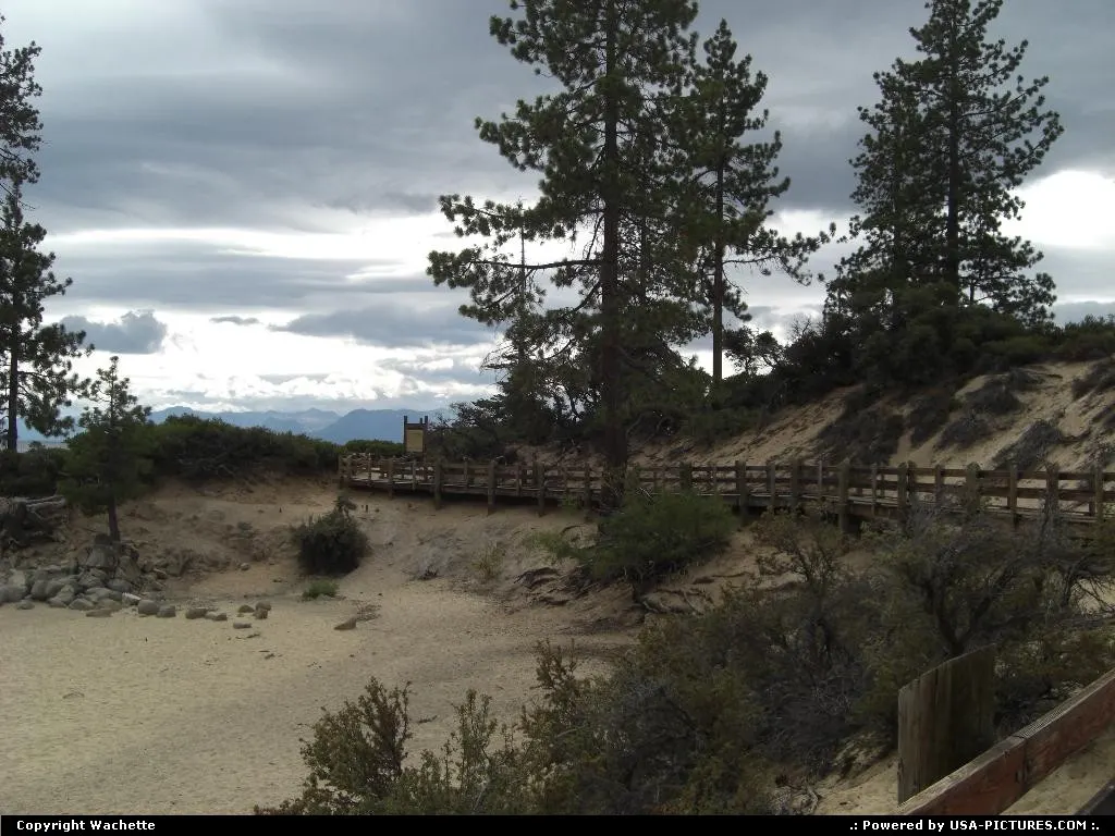beach at lake tahoe, surrounds with beautifuls trees, white sand...