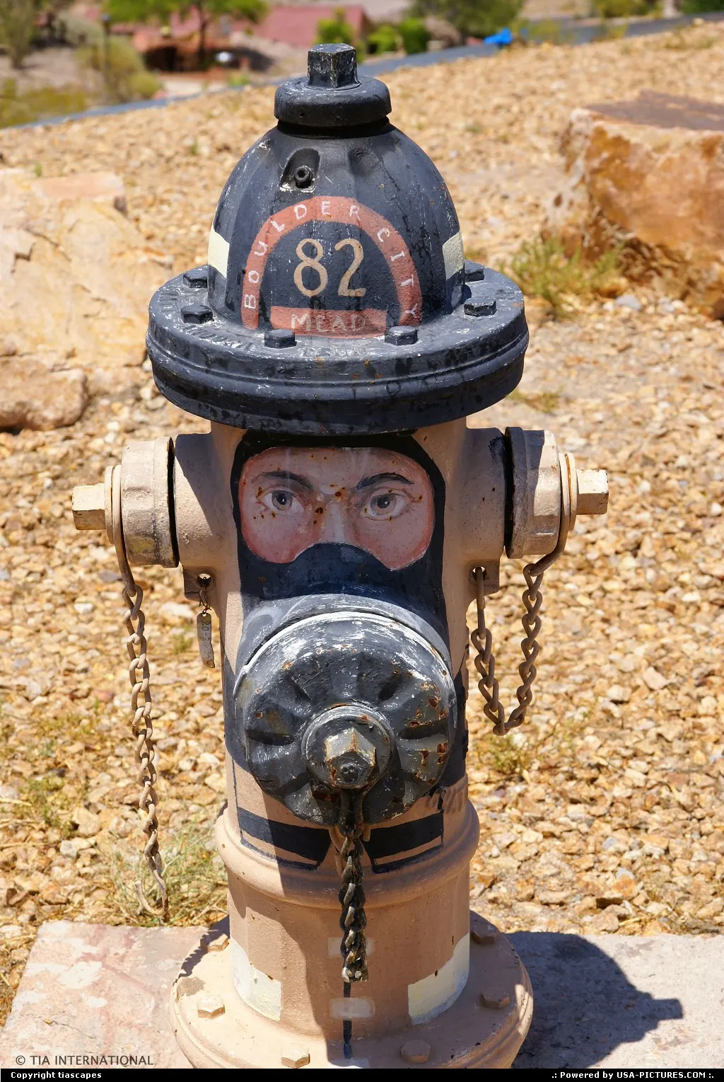 Swelter & Hydrant A painted fire hydrant at a hill overlooking Boulder City and Lake Me...