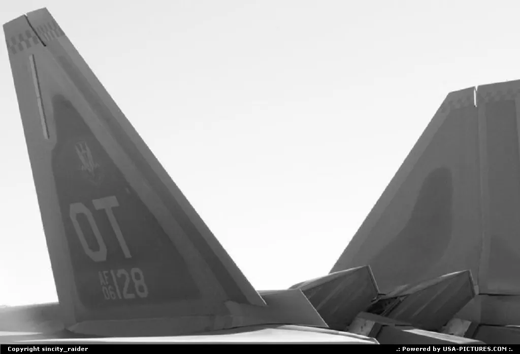 Raptor tail