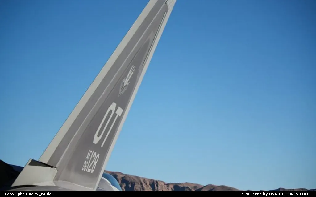 Raptor tail