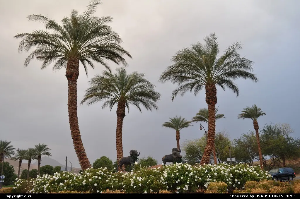 Las vegas beach