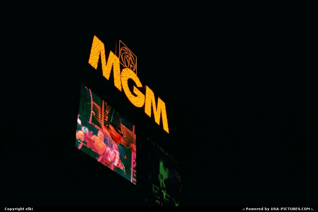 The MGM Grand on the strip, by night