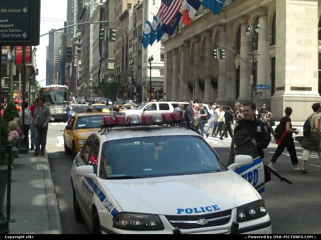 new york police