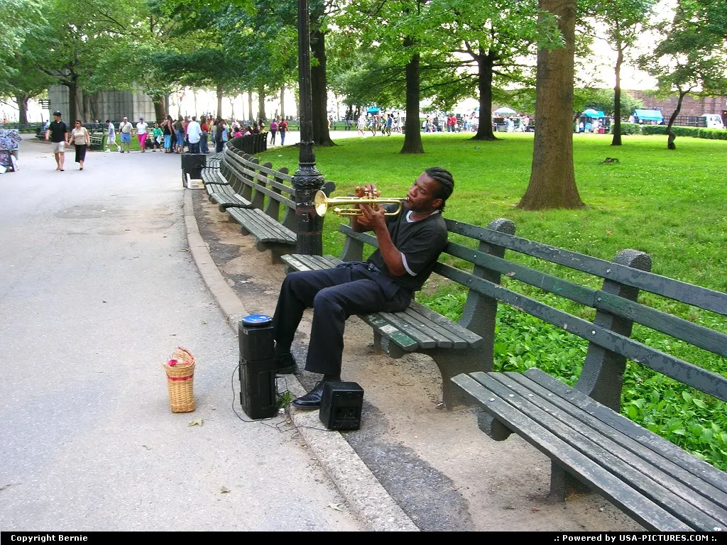 Musician at Battery Park