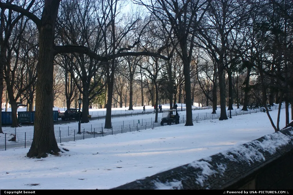 New York New-york central park new york