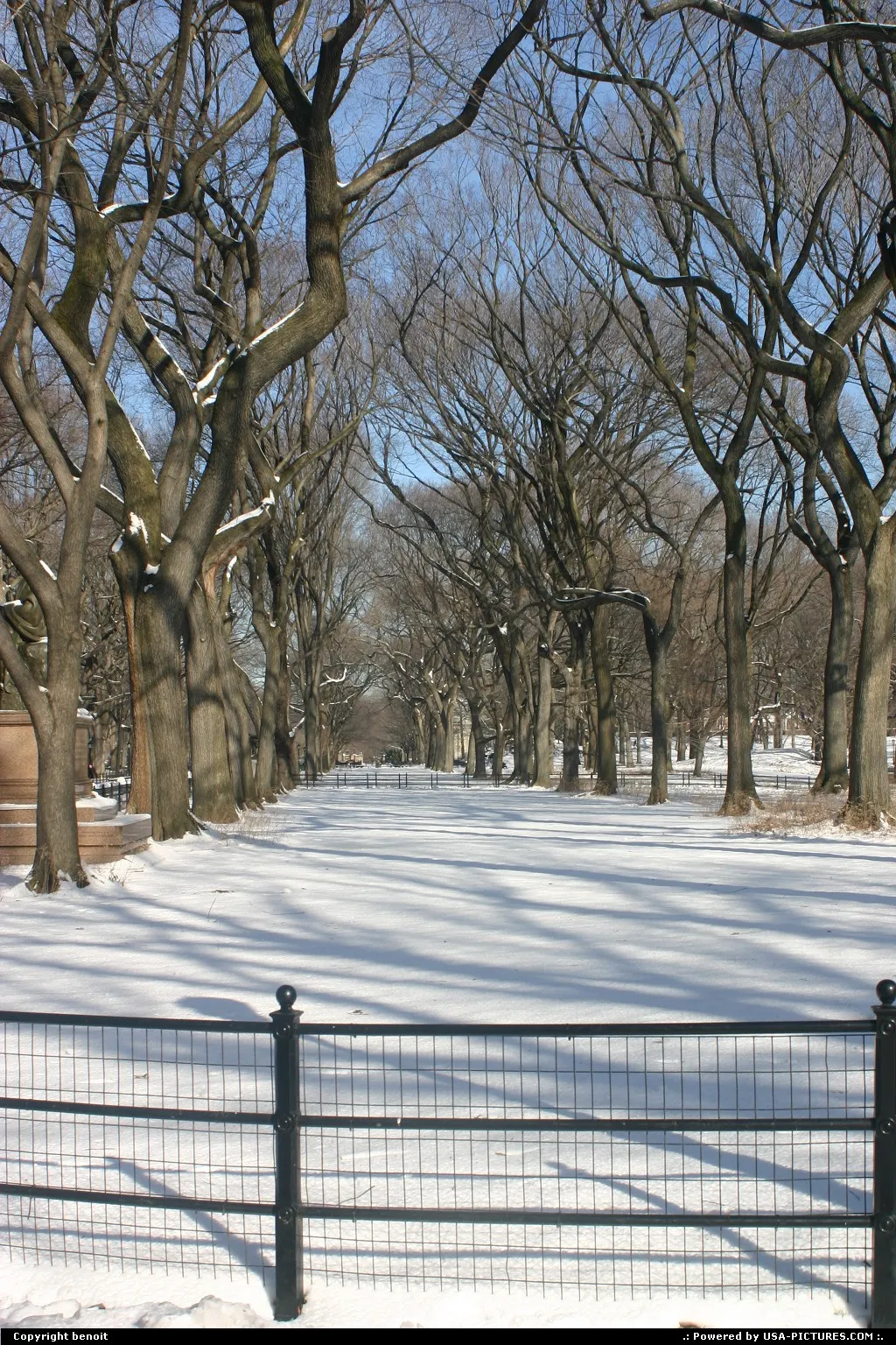 New York New-york central park new york