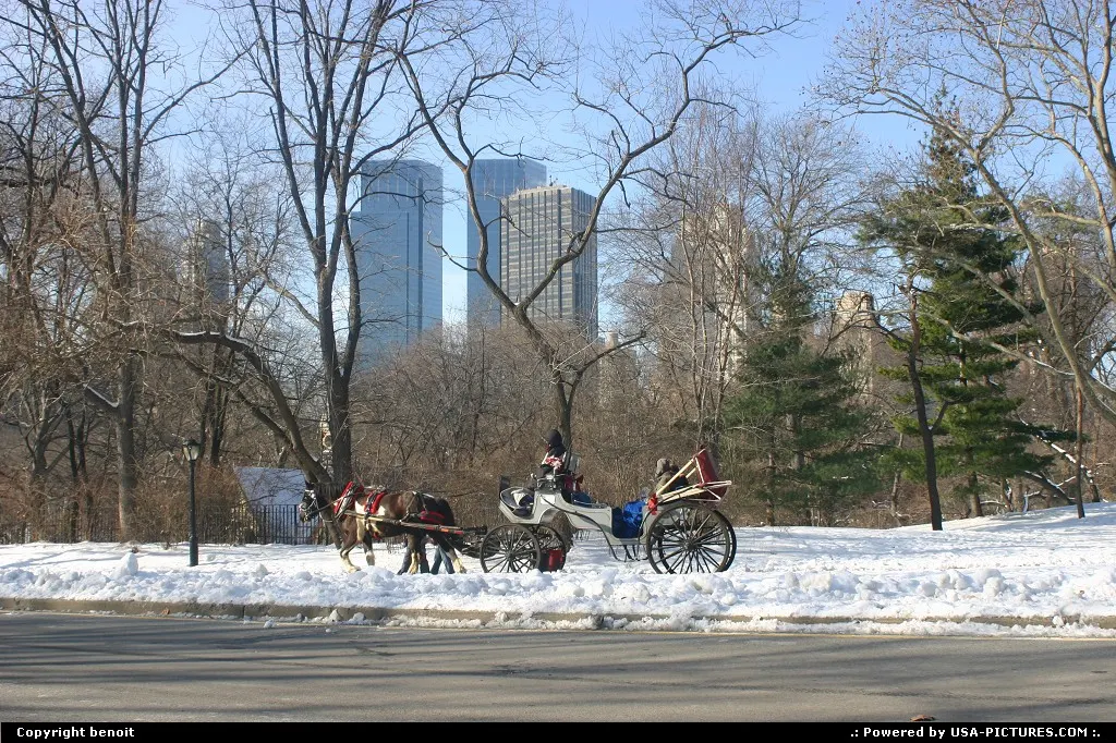 New York New-york central park new york