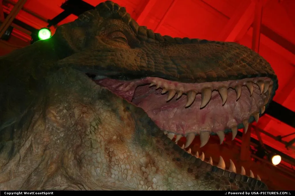 A full scale dinosaur mockup within the Toys'r'us Store, Time Square