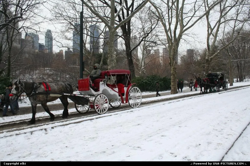 Central park new york