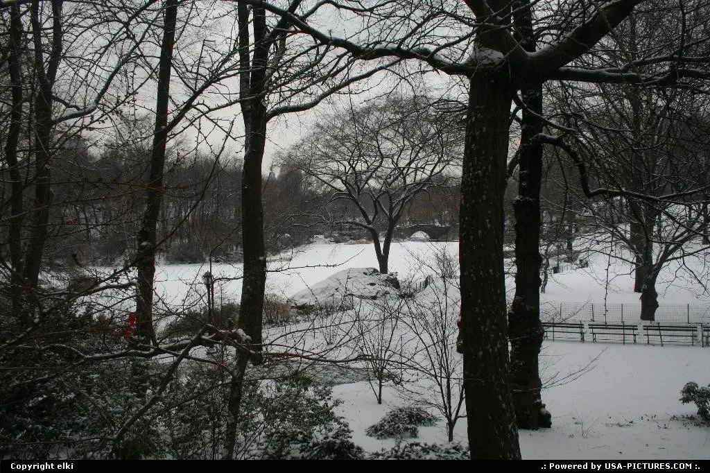 Central park under the snow