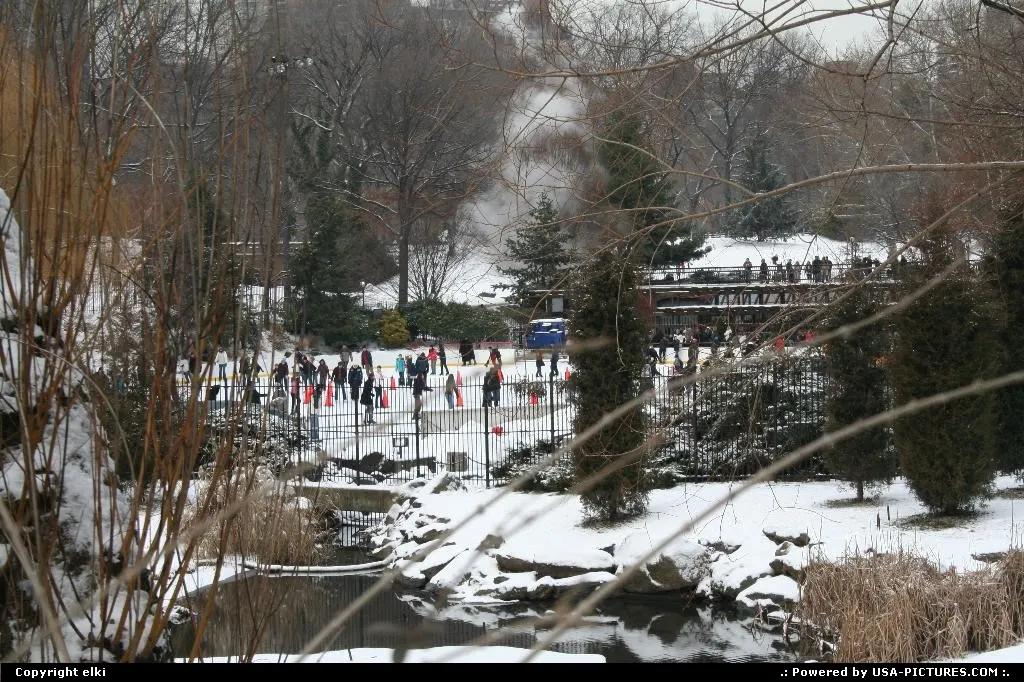Central Park under snow