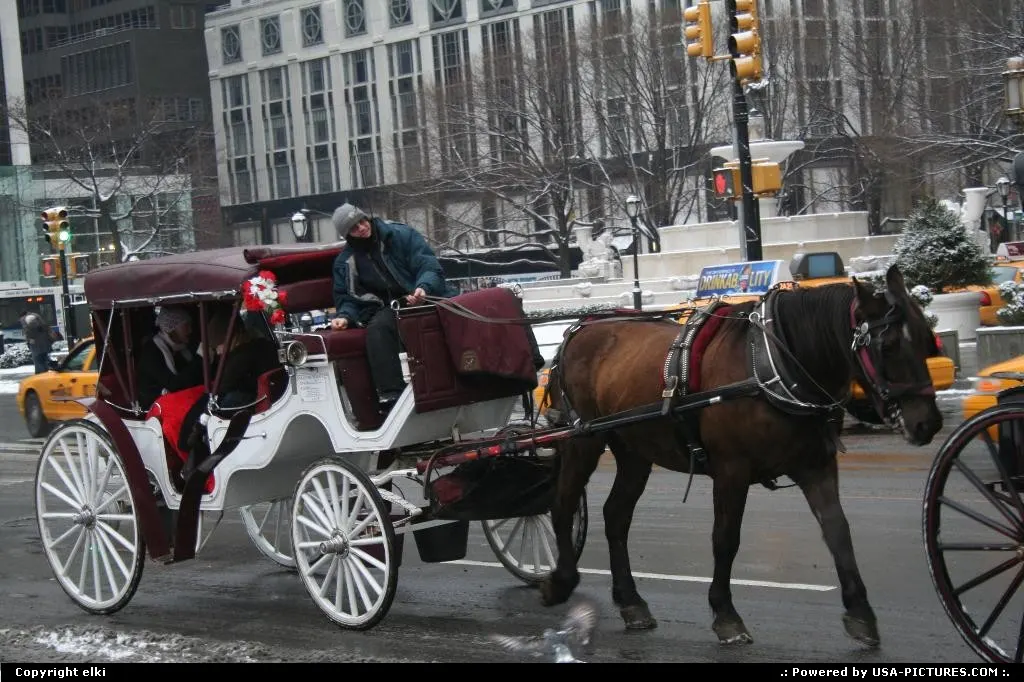 caleche around Central park