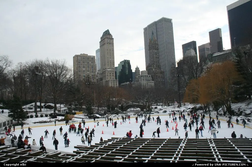 Central park rink