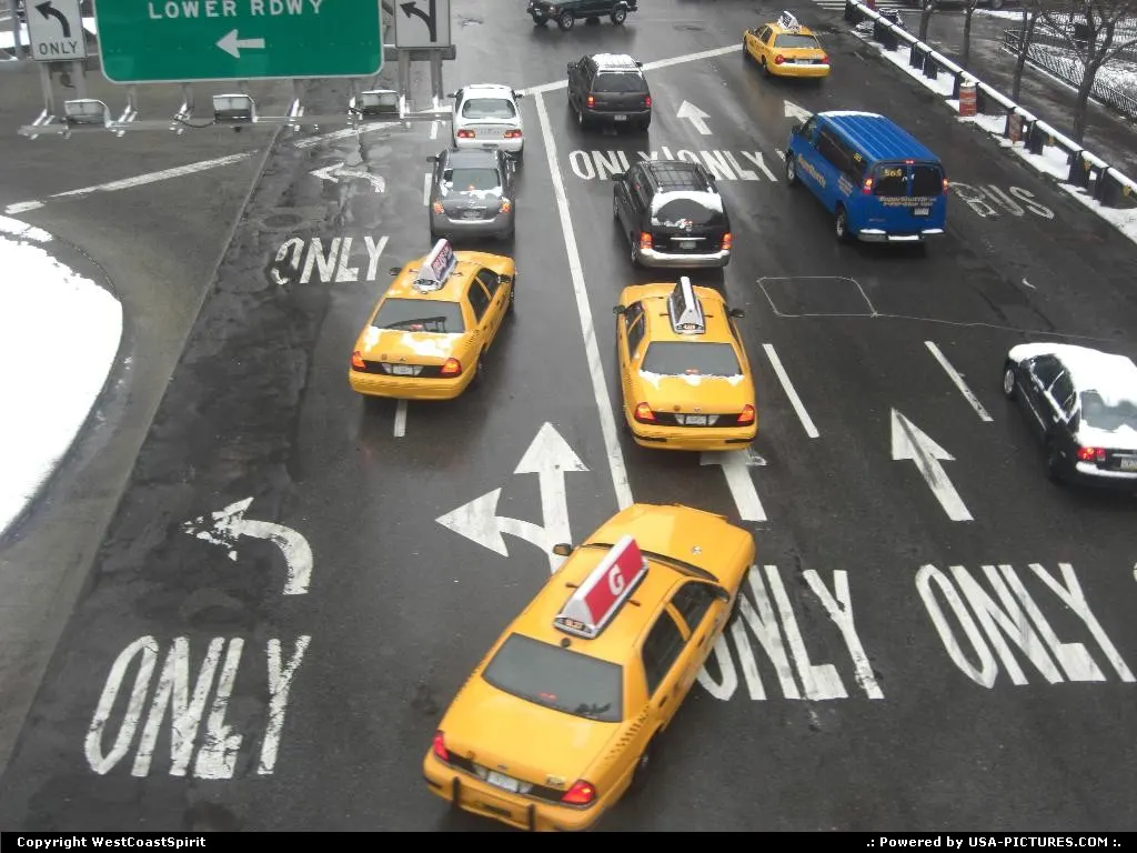 If you think that traffic is a jungle in NYC, you know that Cabs tends to grab the Lion...