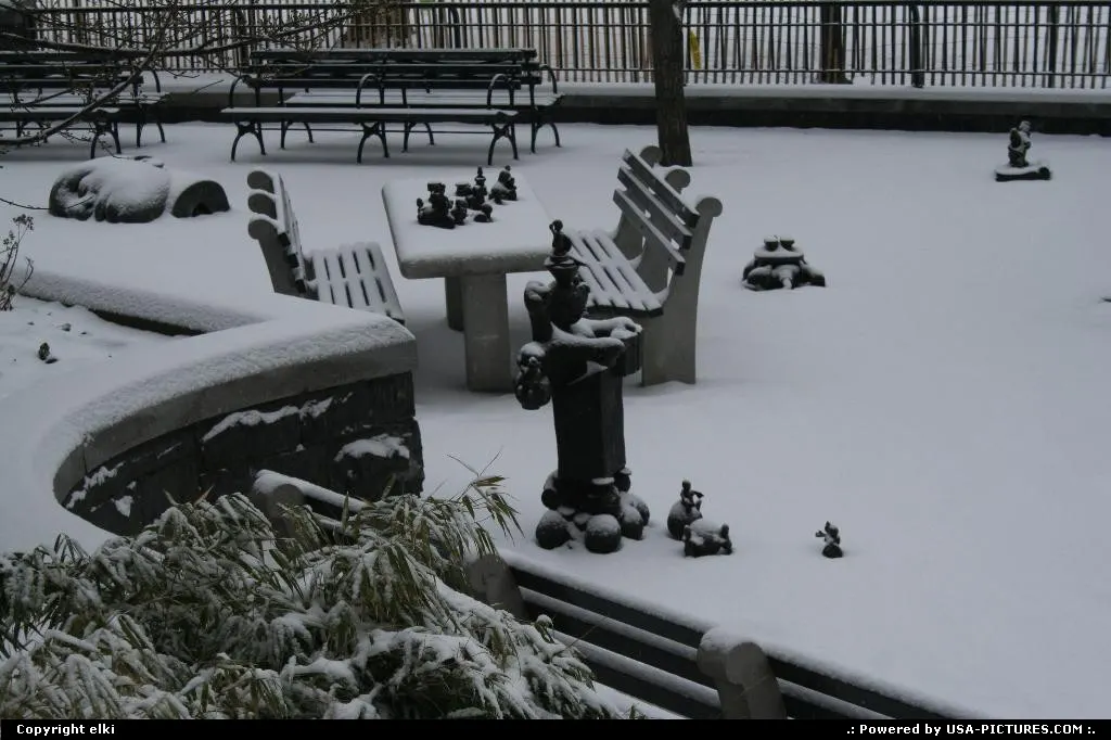 Battery park unde the snow