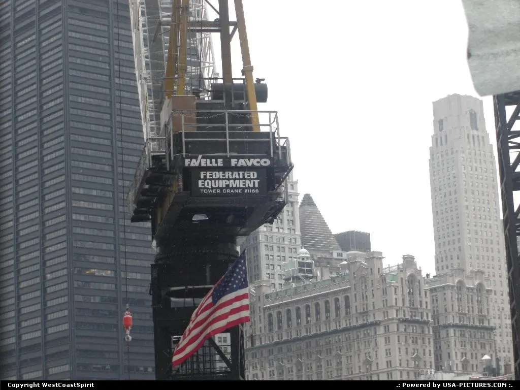 One of the numerous cranes in