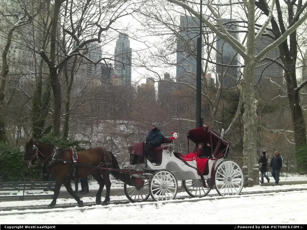 A horse carriage/caleche ride in Central Park, with New York skyline in the background