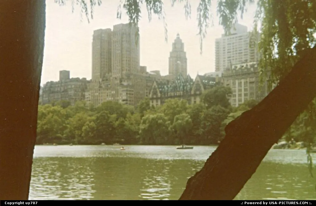 A day in Central Park