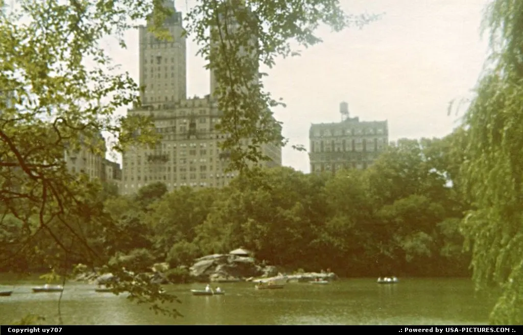 Nature and urban landscapes on an ever going encounter.