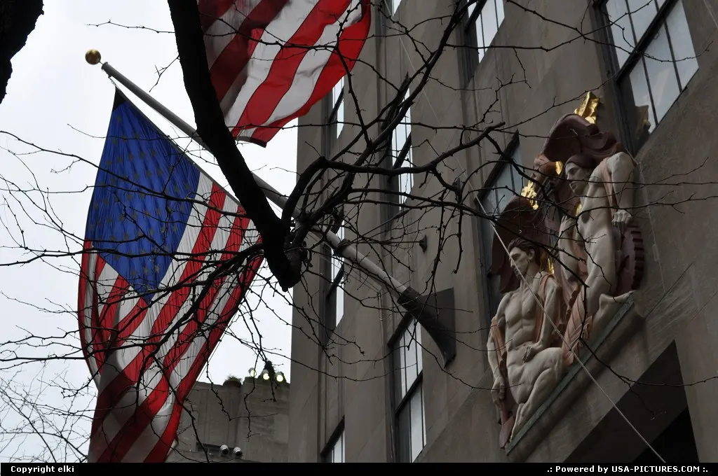 New York New-york 5th avenue