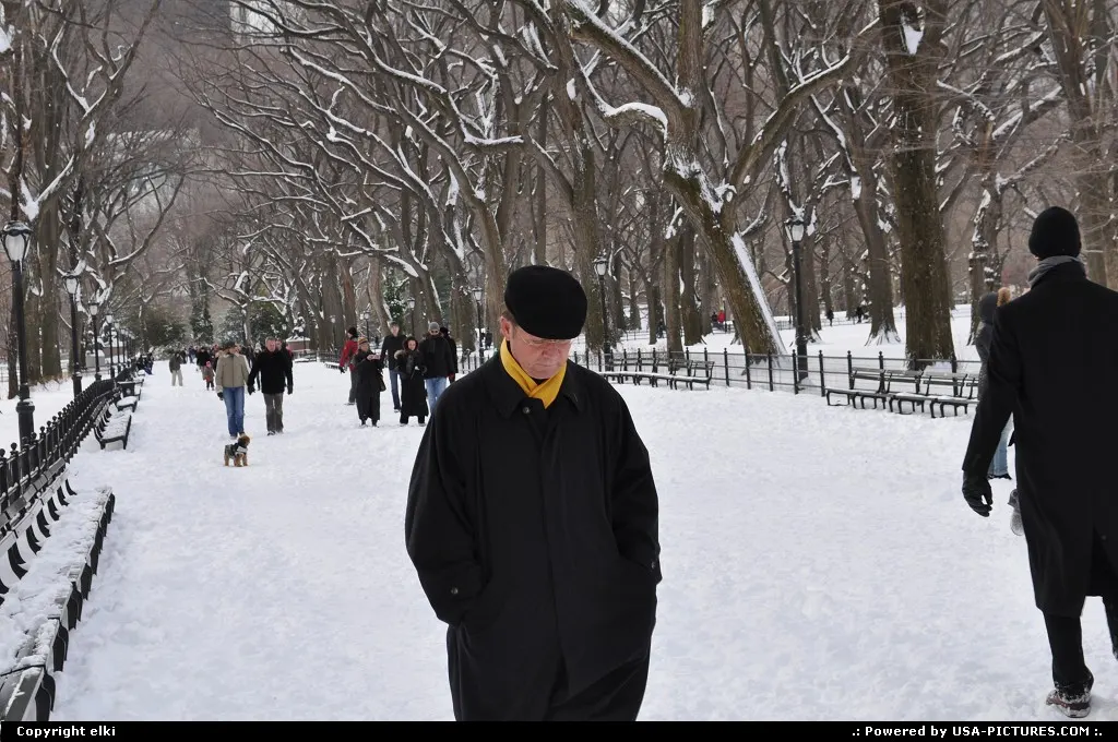 Central park under snow.