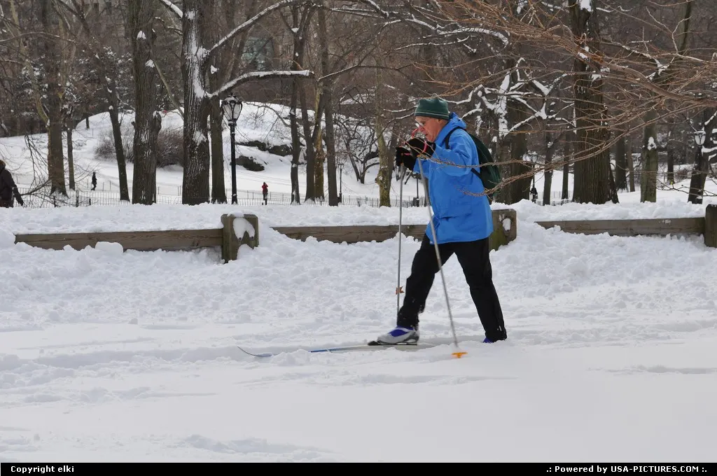 Central park under snow.