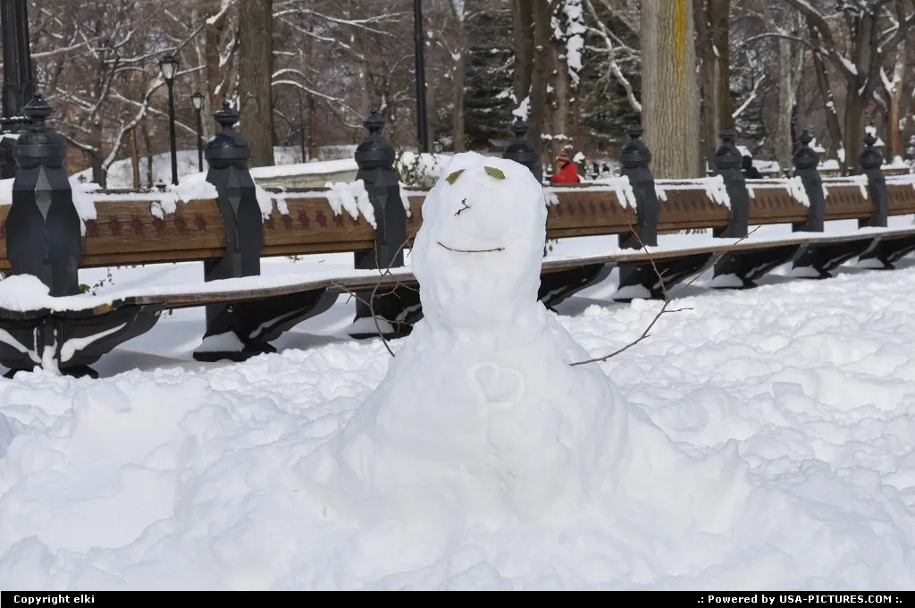 Enjoying central park under snow.