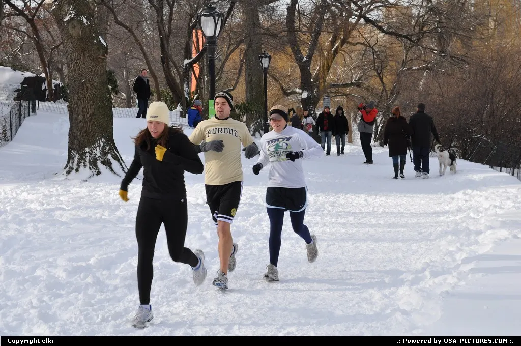 Enjoying central park under snow.