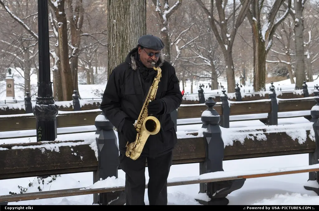 Central park under snow.