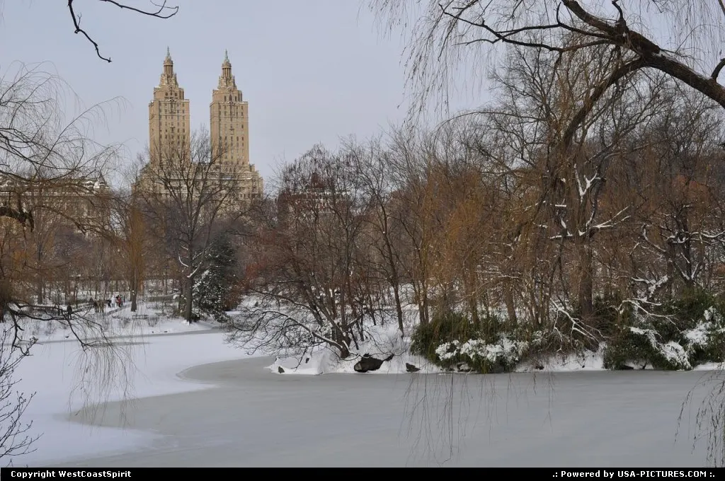 Central Park after the December 2009 blizzard.