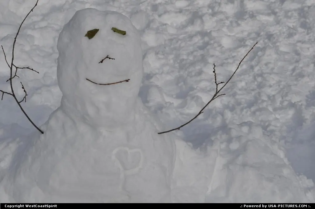 The day after the blizzard storm, December 2009, New York.