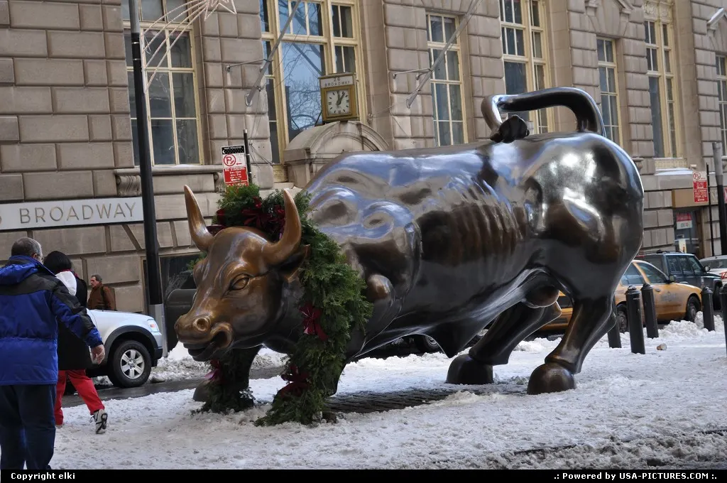The famous charging bull in New York, close to Wall Street, Ground Zero, and battery park.