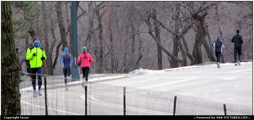 New York New-york centarl park,winter