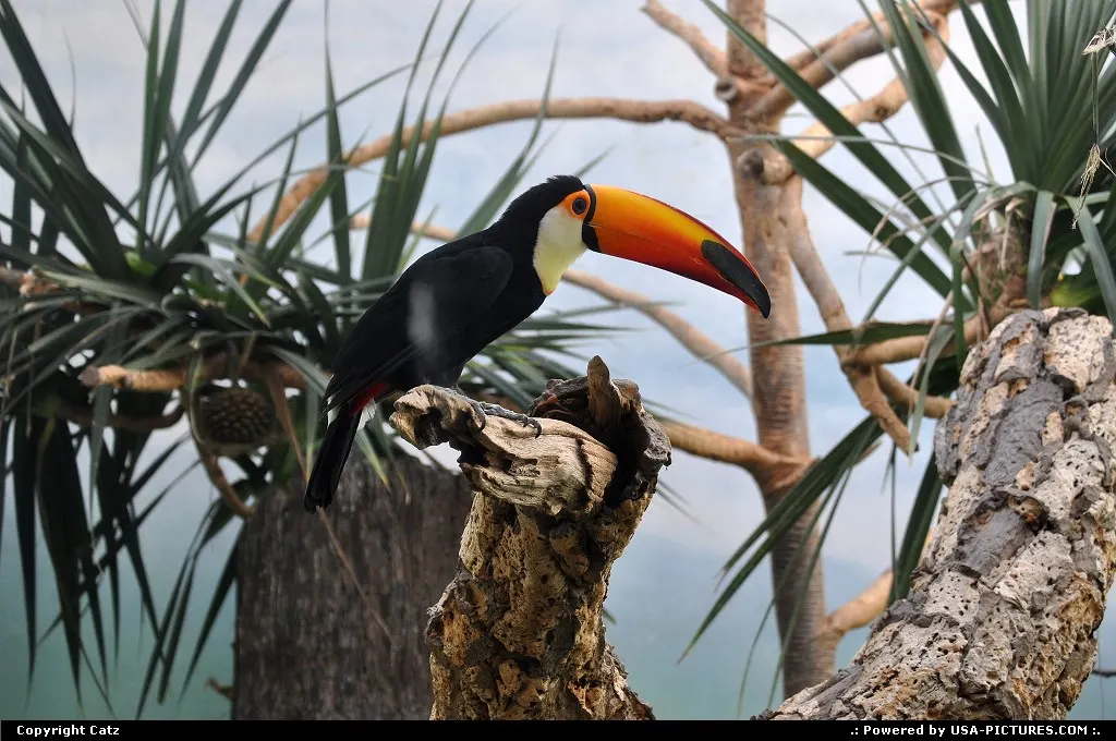 Bronx New-york bronx zoo