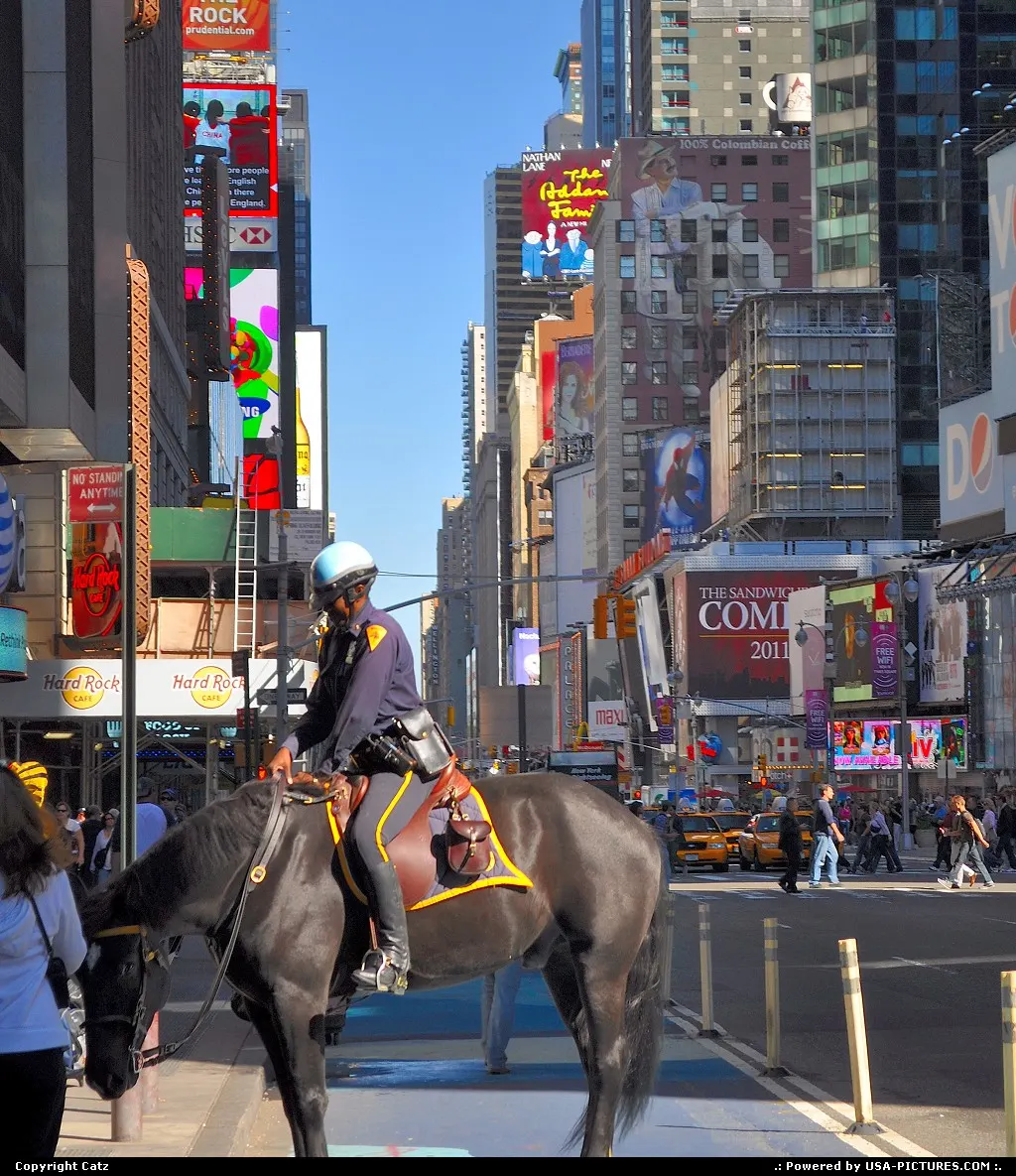 New York New-york